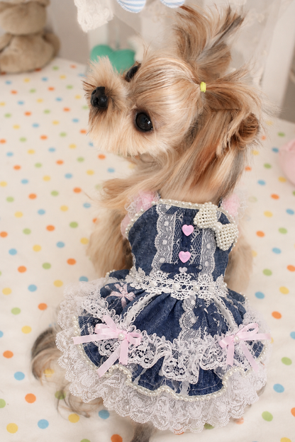 Handmade Denim Lace Pet Dress
