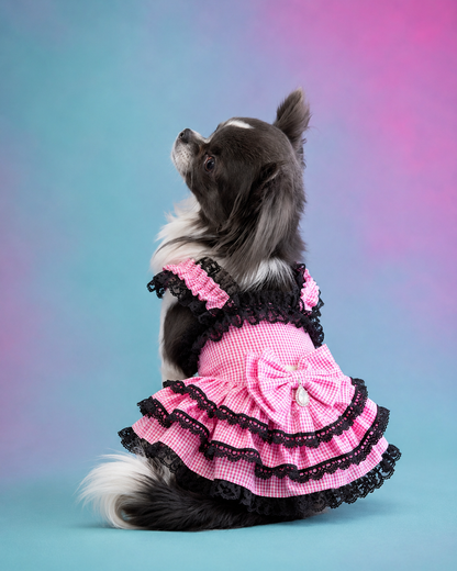 boutique pet outfit