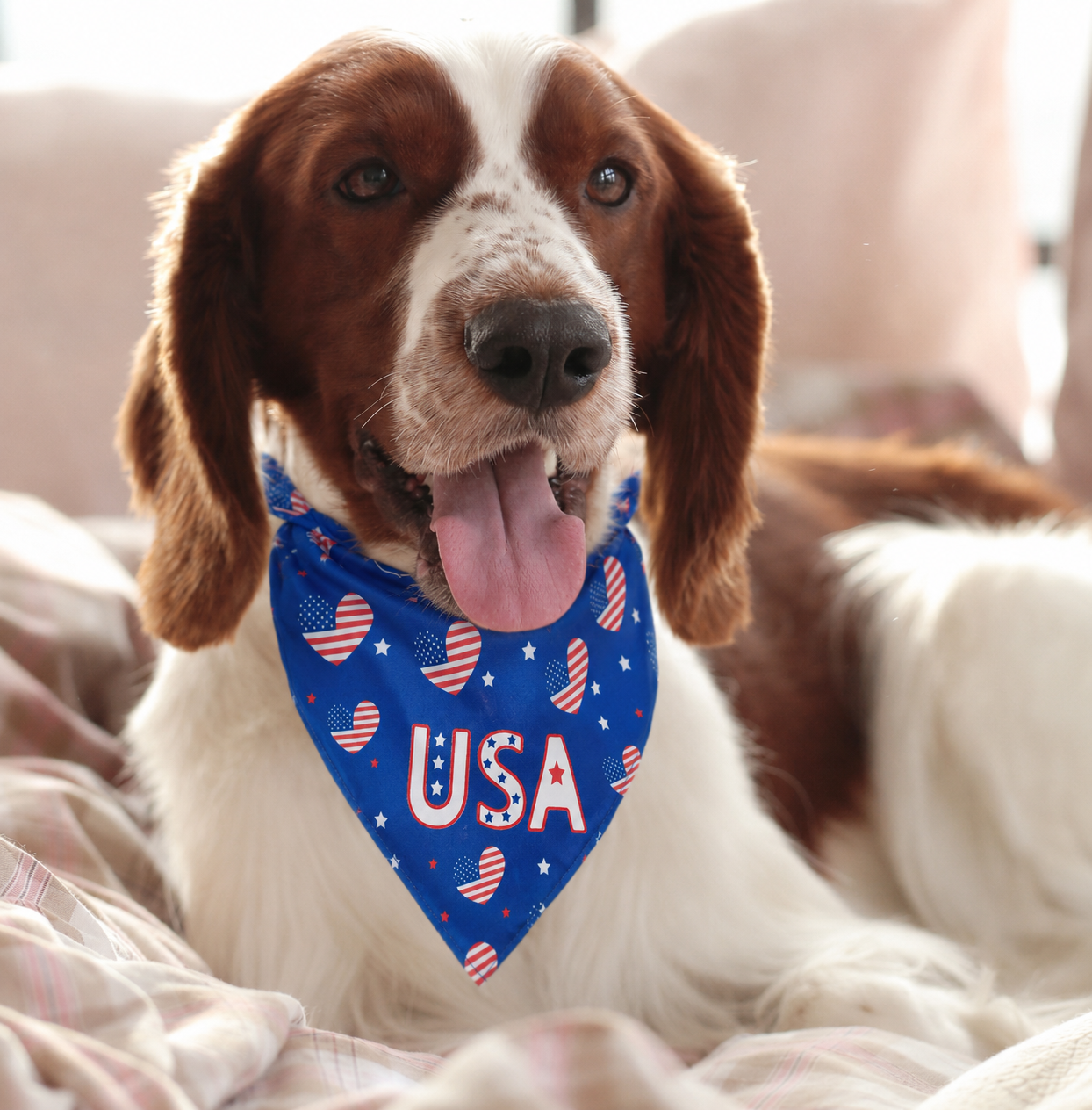 Blue Independence Day pet scarf for dogs