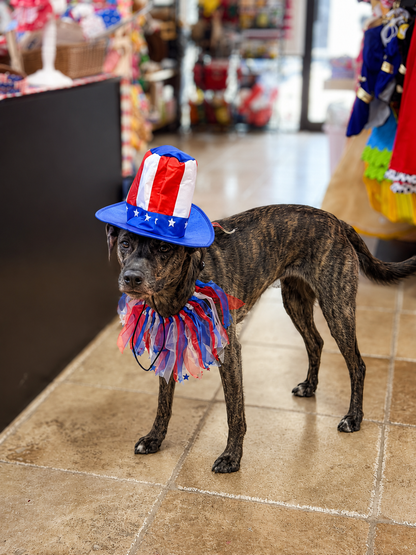 Patriotic dog boutique costume for summer events
