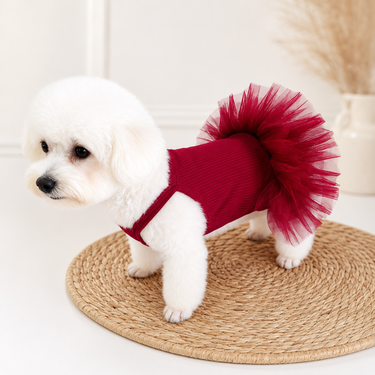 Wine red puppy party dress for small dogs