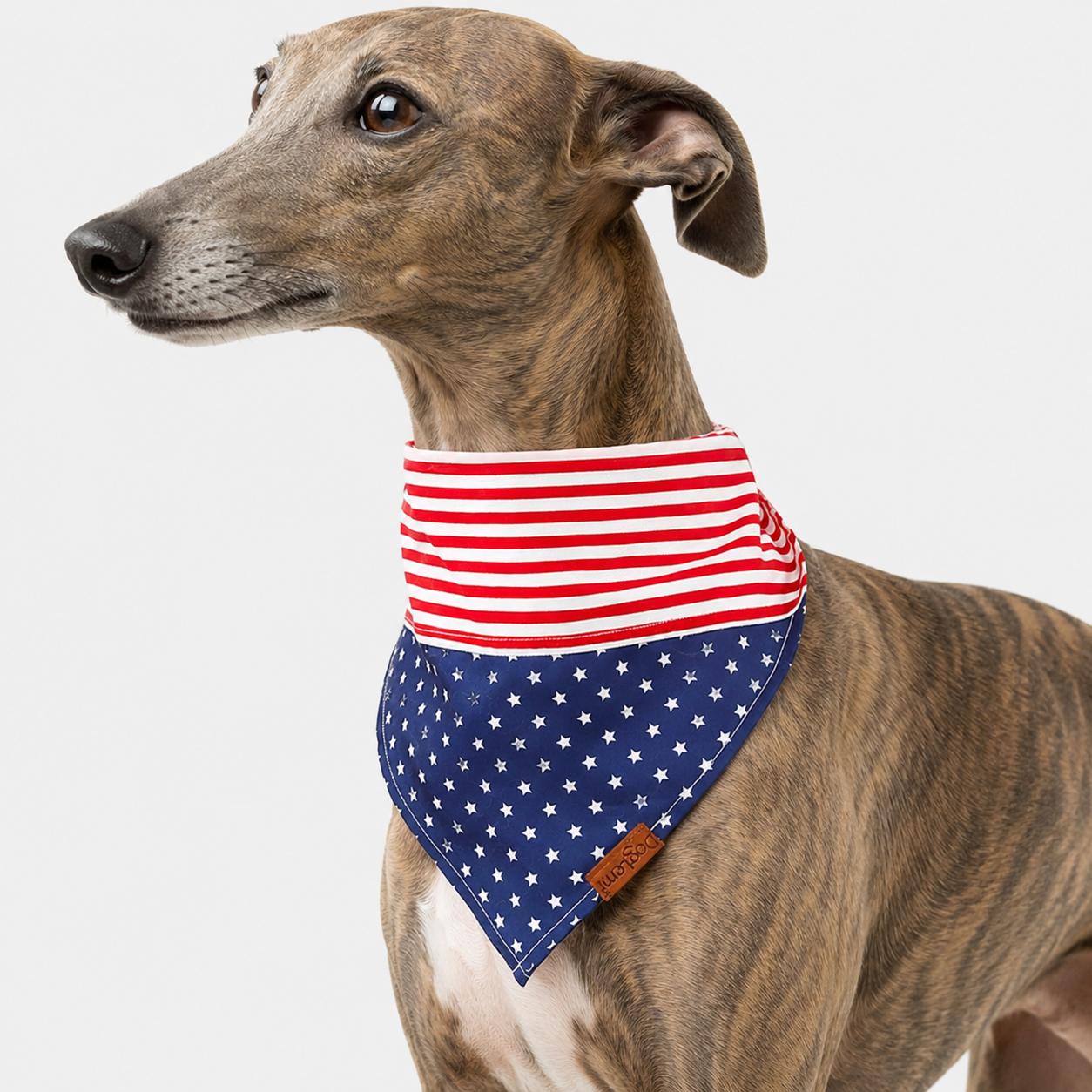 4th-of-july-pet-bandana-red-white-blue
