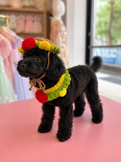 strawberry-inspired-pet-accessory