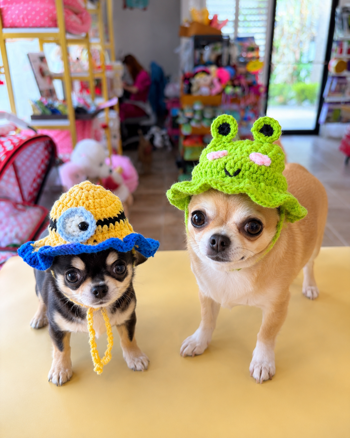 cute-frog-pet-bonnet