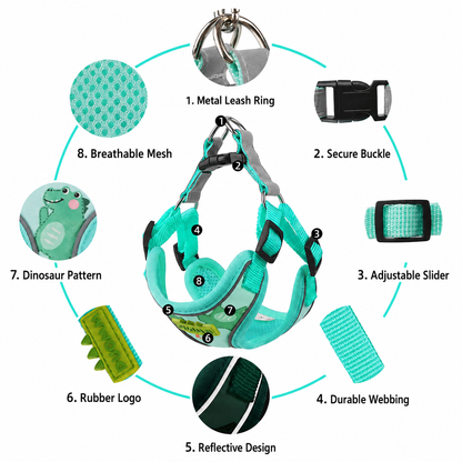 small dog walking harness with leash