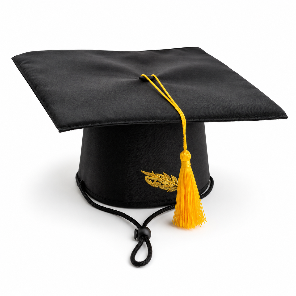 Black pet graduation cap with gold tassel and adjustable chin strap