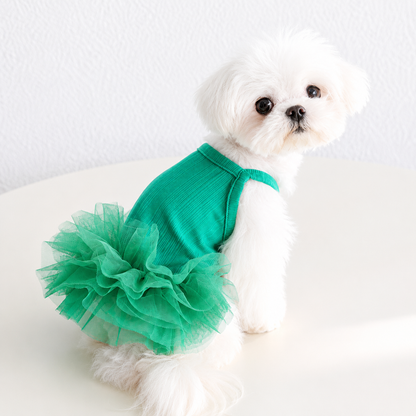 White Maltese wearing green dog tutu dress with fluffy mesh skirt for small dog photoshoot