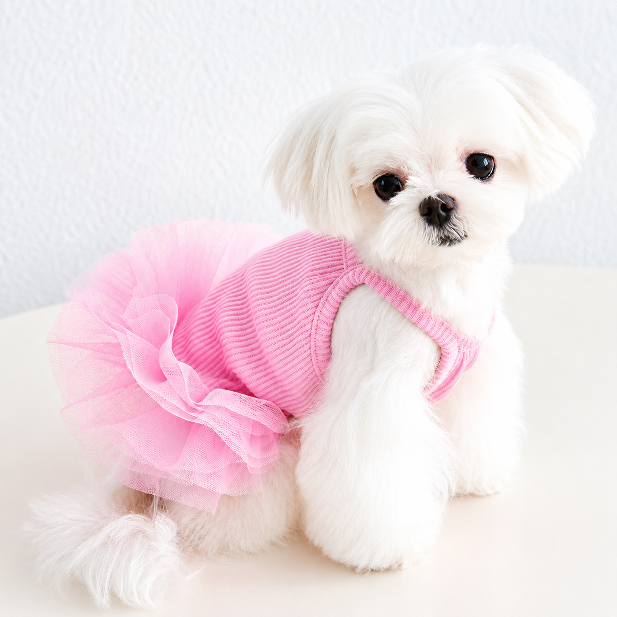 Side view of blush pink puppy tutu dress with soft ribbed fabric and fluffy tulle skirt