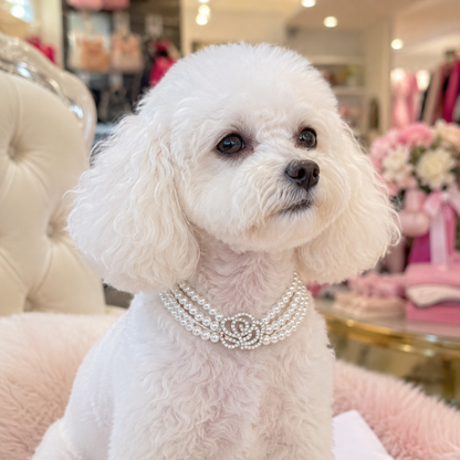 Luxury pearl necklace accessory for small dogs and cats
