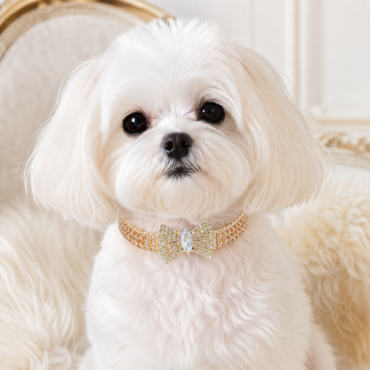 Gold rhinestone dog necklace with sparkling bow centerpiece
