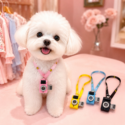 Retro camera pet accessory in four color options