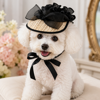 Small white dog wearing an elegant black lace straw pet hat with bow and ribbon chin ties for weddings, tea parties and pet photography