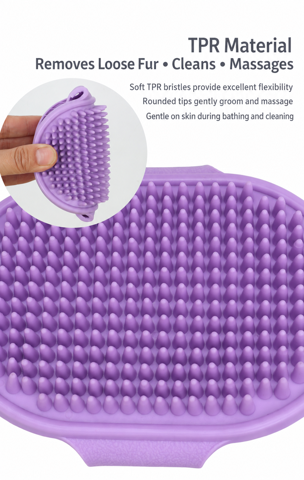 Close-up of flexible rounded TPR bristles on Purple pet bath brush