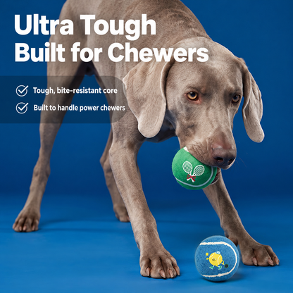 Dog playing with green and blue printed tennis balls