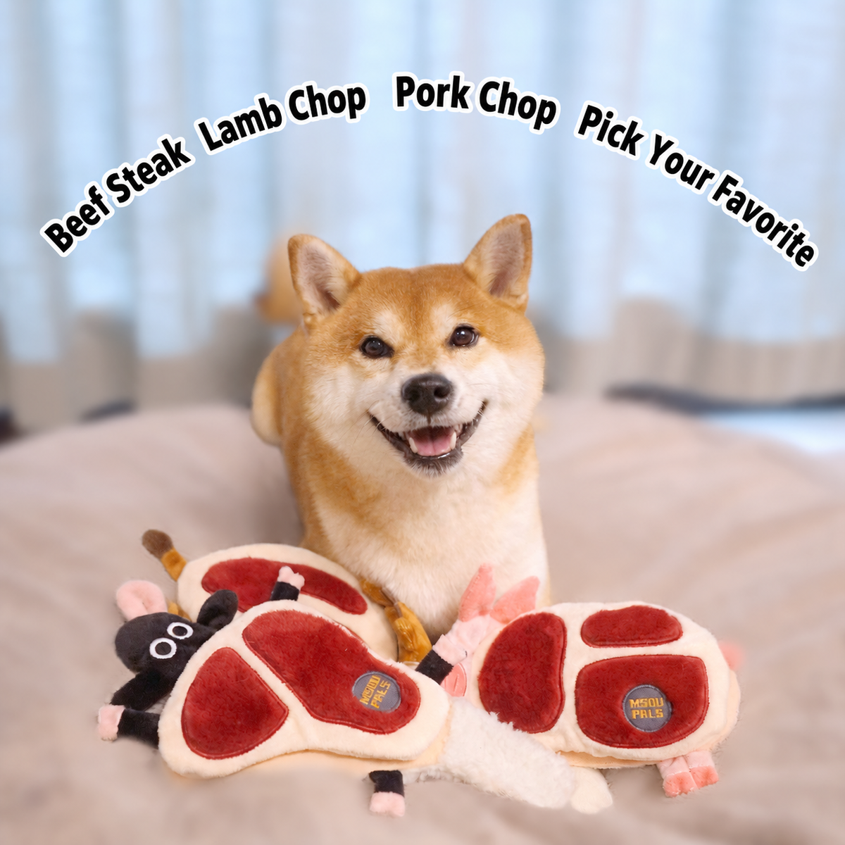 Dog sitting behind beef steak lamb chop and pork chop snuffle plush toys