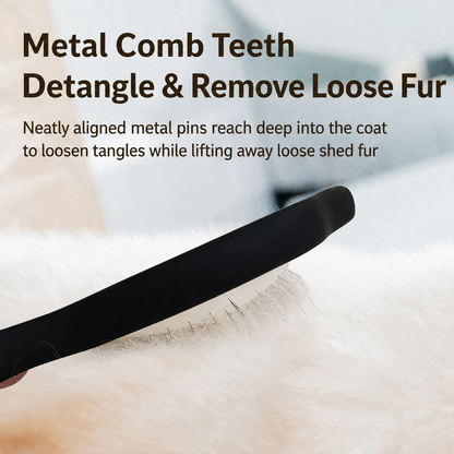 Black pet slicker brush with metal comb teeth lifting loose fur from white coat