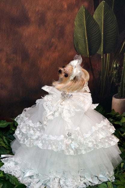 Luxury Victorian bridal dog dress with princess silhouette