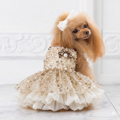 luxury dog dress gold sequin outfit