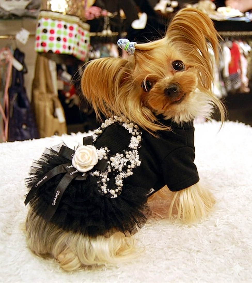 designer dog dress pearl sequin pet outfit formal dog clothing