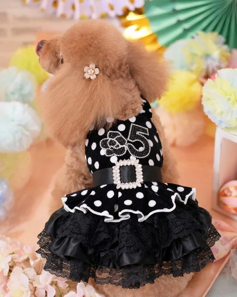Velvet Black Polka Dot Lace Pet Dress with Matching Bonnet boutique pet outfit detail photo 3