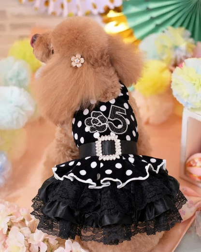 Velvet Black Polka Dot Lace Pet Dress with Matching Bonnet boutique pet outfit detail photo 3