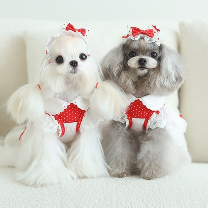 Dog  dresses 2-piece set red cute dot
