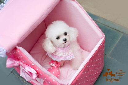Dog house princess pink dot lace