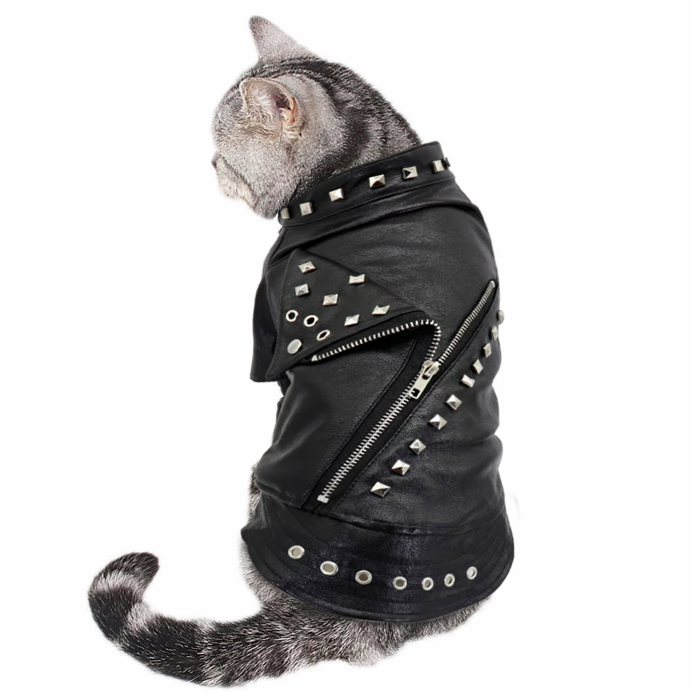 Dog Leather Jacket with Studs – Punk Rock Style - product detail view 3 of 6
