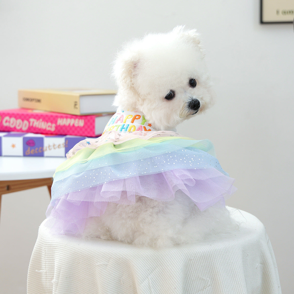 Small white dog wearing Happy Birthday rainbow tulle pet dress from back view