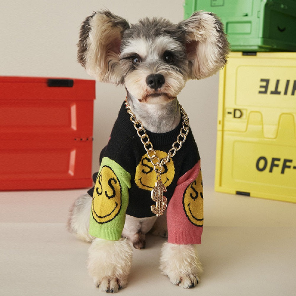 Bling Dollar Chain For Dogs