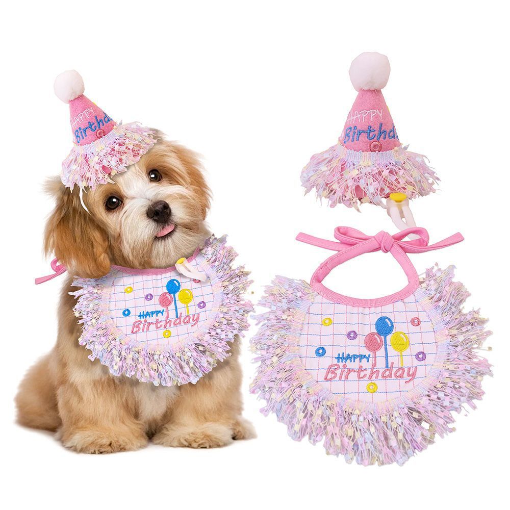 Pink Balloon Pet Birthday Hat and Bib Set