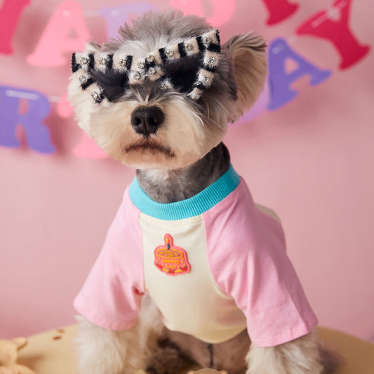 Glam Furry Pet Sunglasses