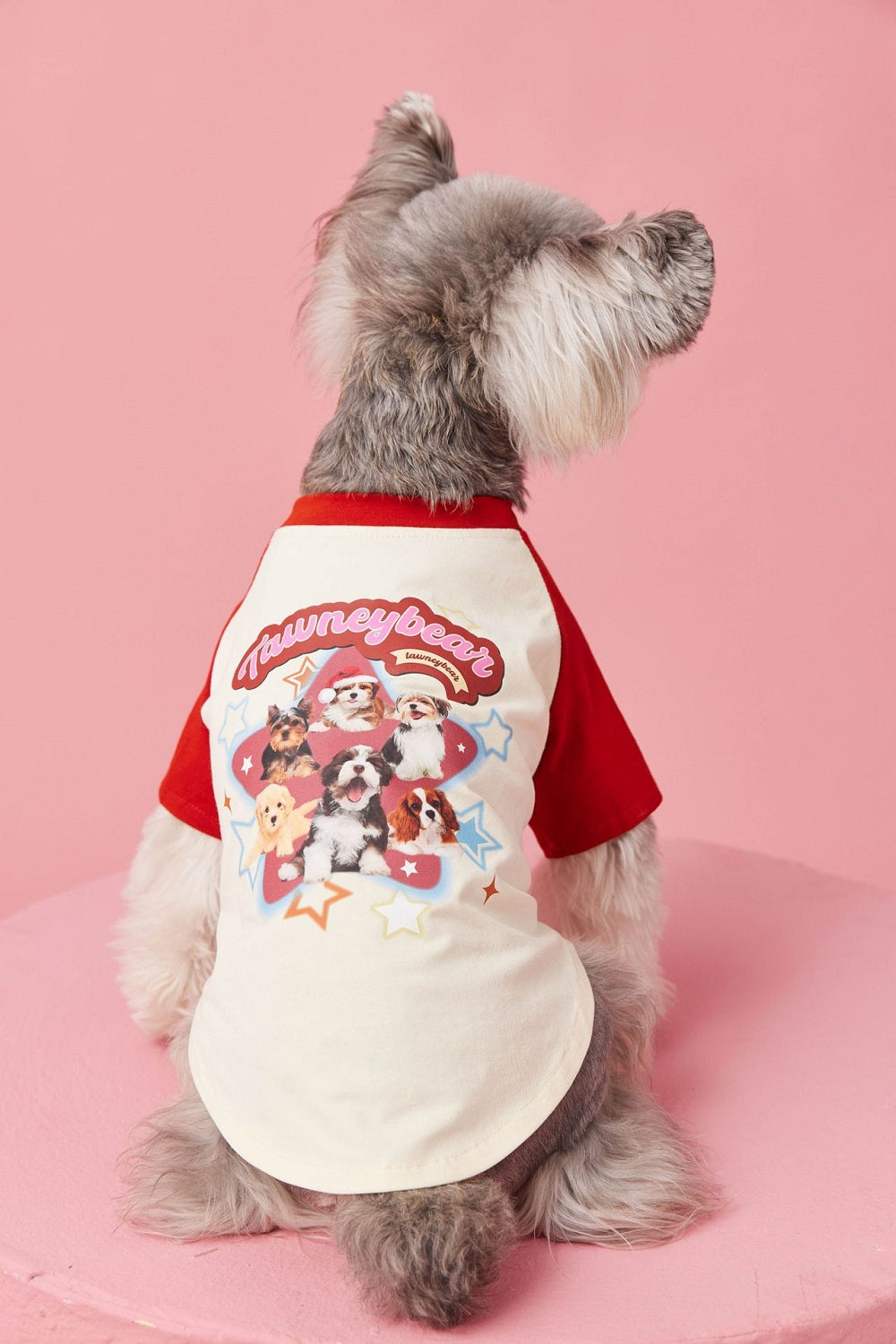 Star Pup Tee Dog Cat Clothing