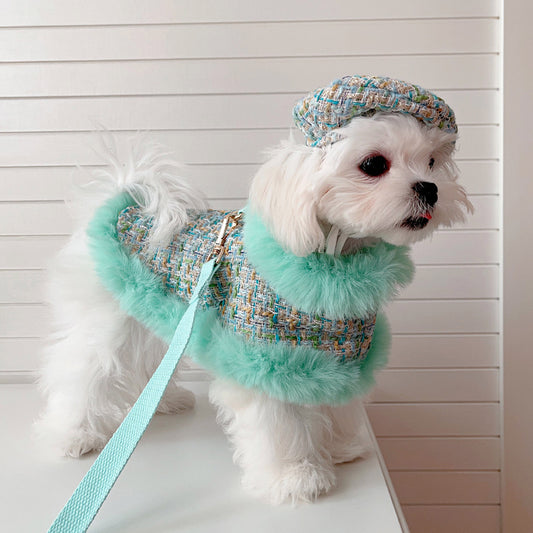 Dog cape green tweed +hat+leash sets
