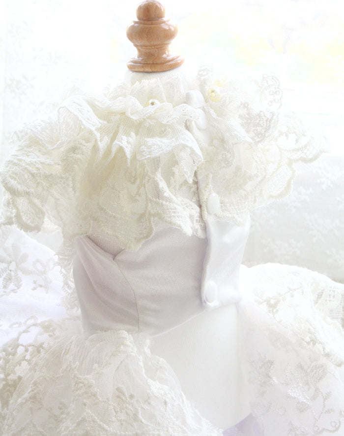 Luxury bridal photoshoot dog wedding dress side view