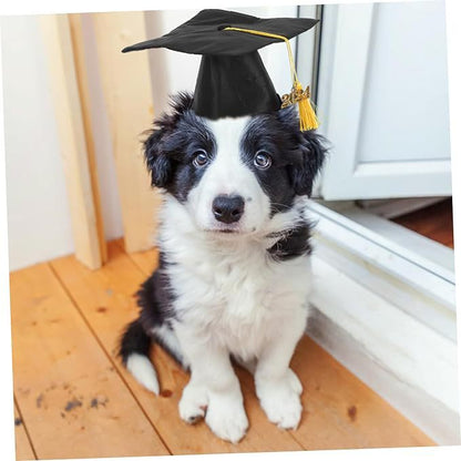 Dog graduation hat for graduation photos and celebrations