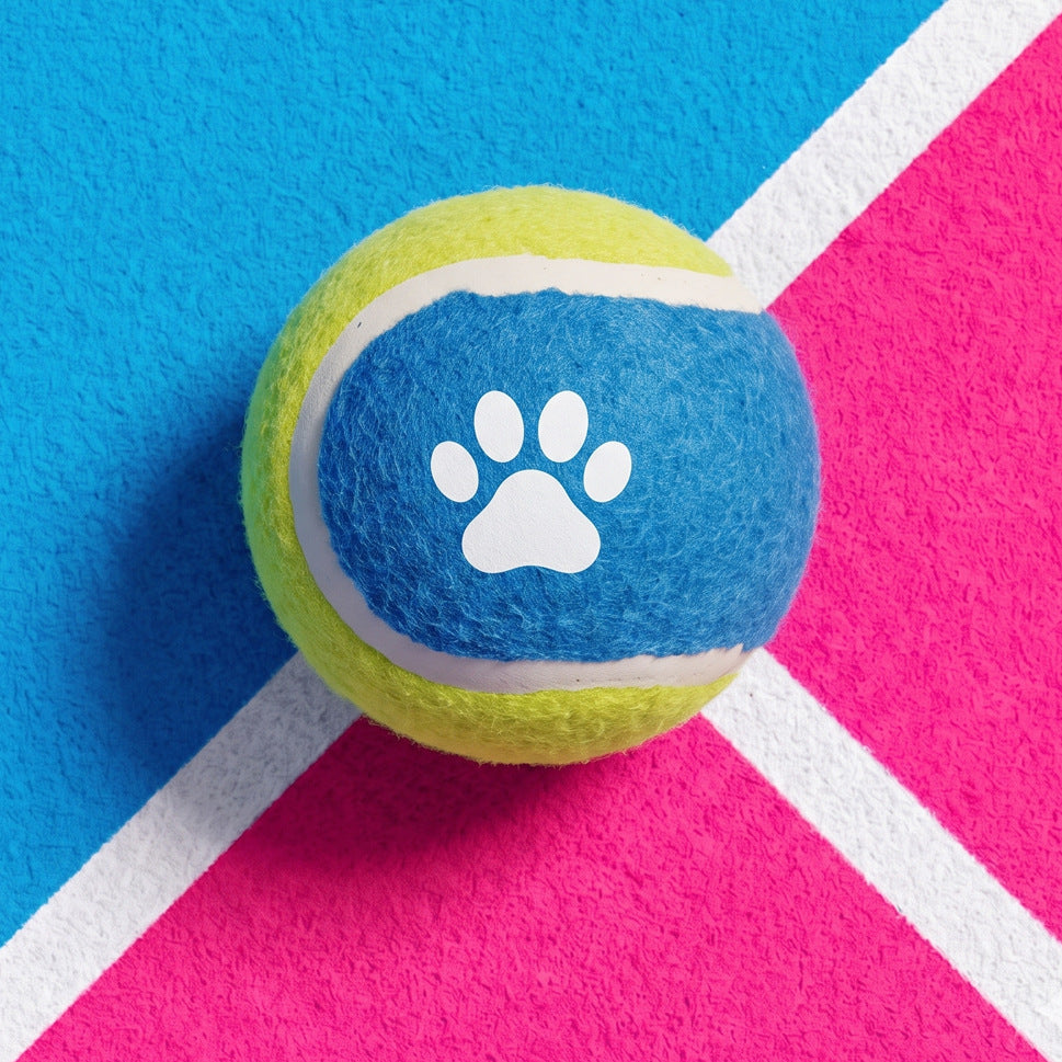 Blue and yellow paw print tennis ball from Nunbell three-pack