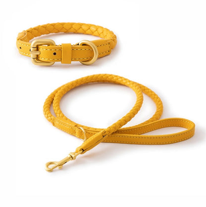 Luxury Braided Leather Dog Collar+Leash Set – Eco-Friendly, Durable, Stylish
