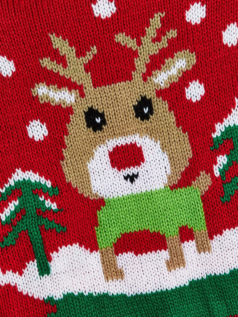 Christmas Pet Sweater • Reindeer Knit & Green Trim