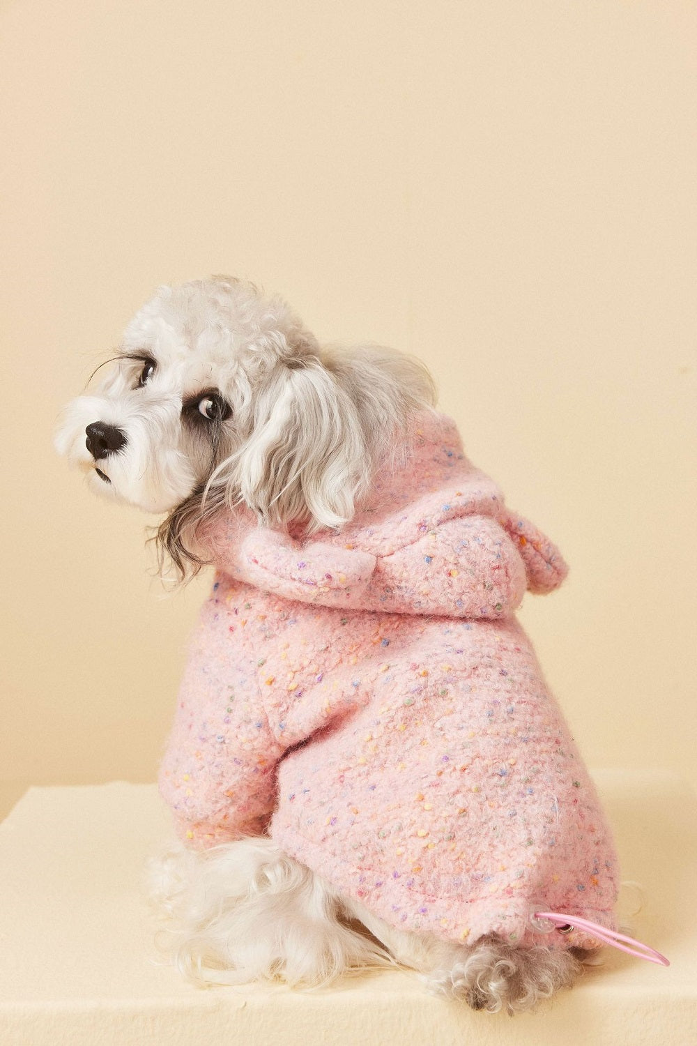 Cozy Knit Dog Sweater