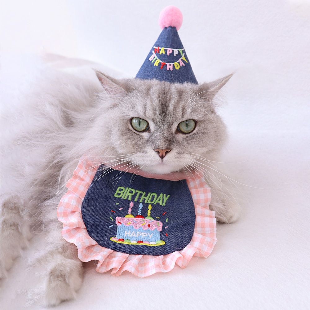 Denim Cake Pet Birthday Hat and Bib Set
