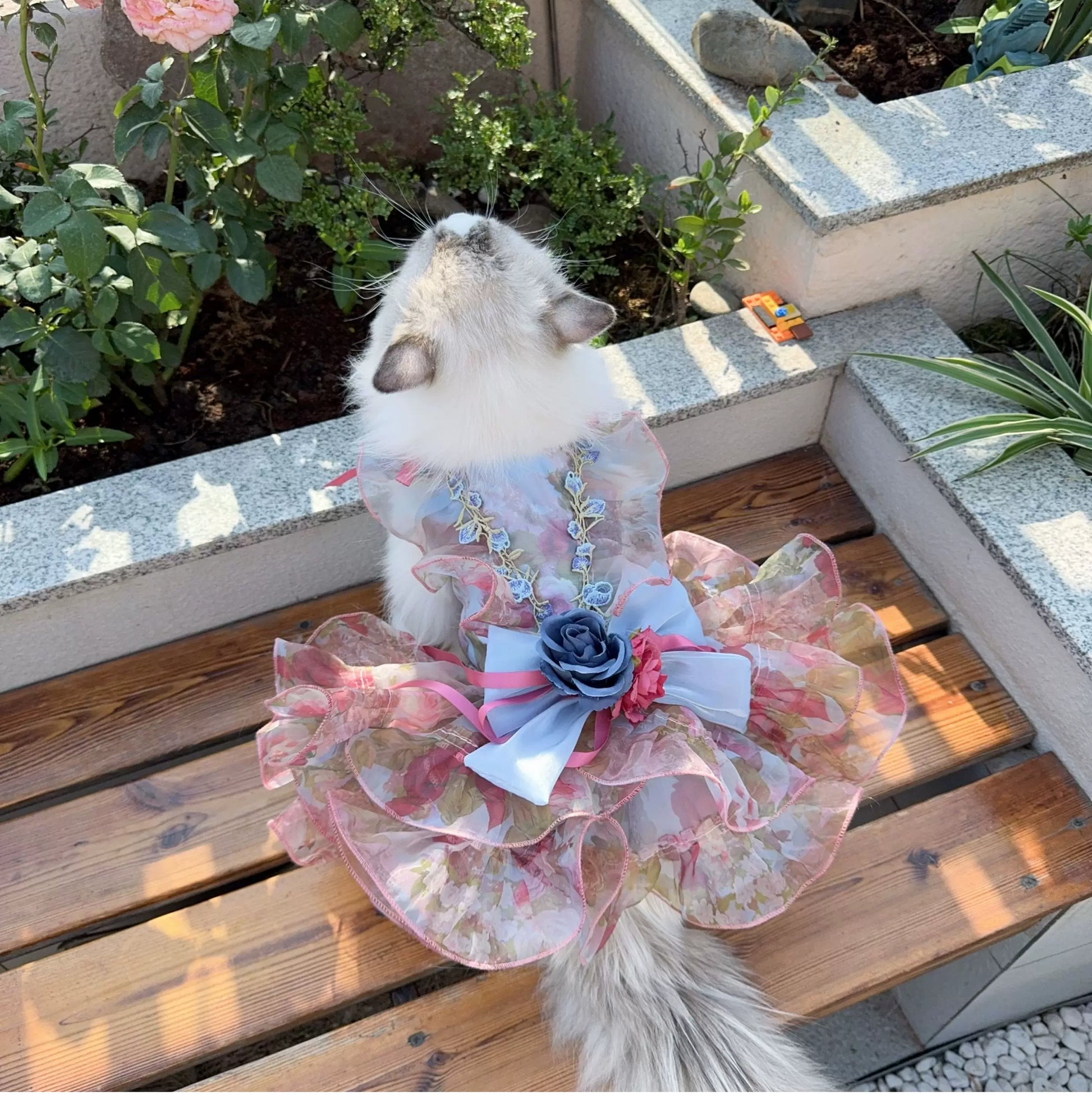 Cat wearing pastel floral short pet dress with bow and flower accents
