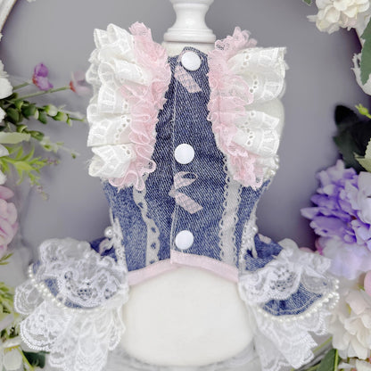 Handmade Denim Lace Pet Dress