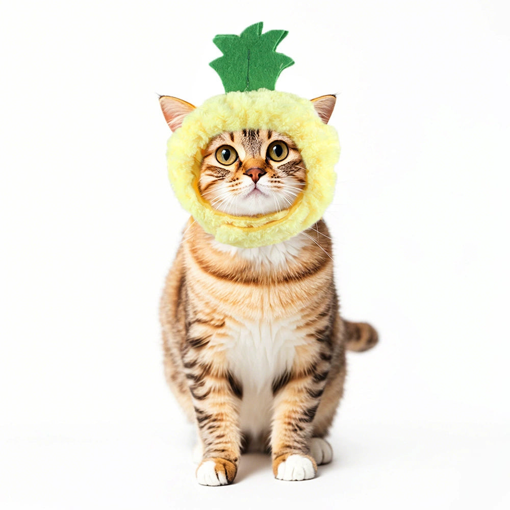 Adorable cat photography props and social media accessories