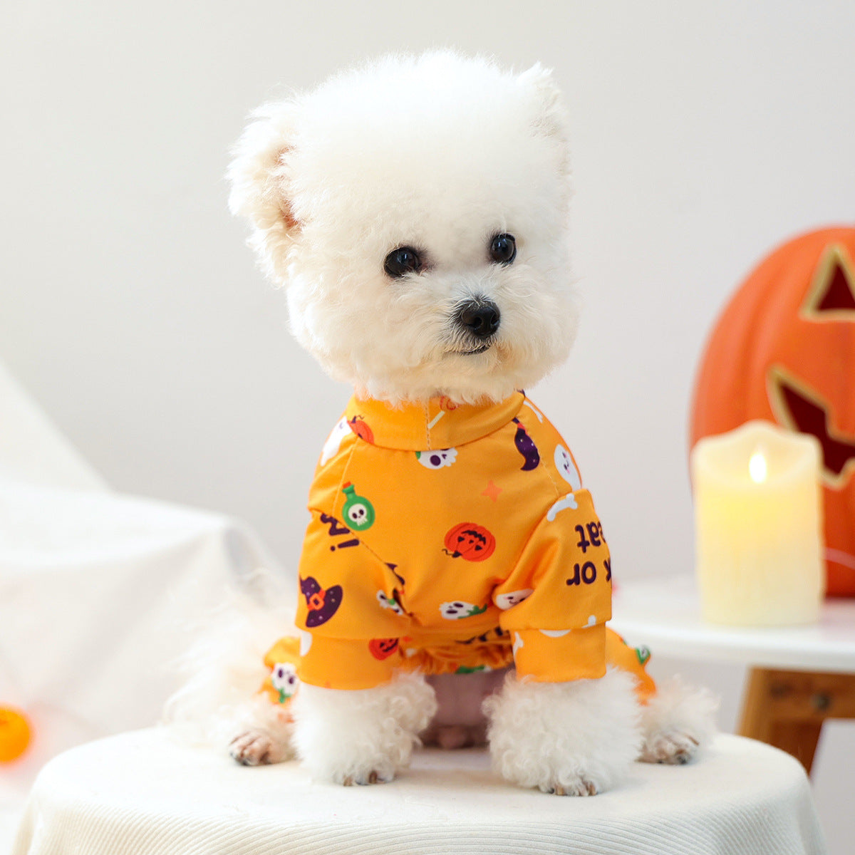 Small white dog wearing orange Trick or Treat Halloween pet pajamas