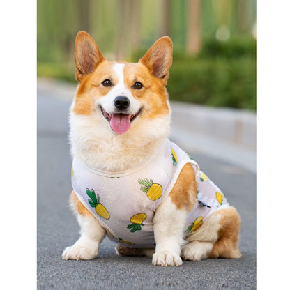 UV-resistant sun protection T-shirt For Large Dog