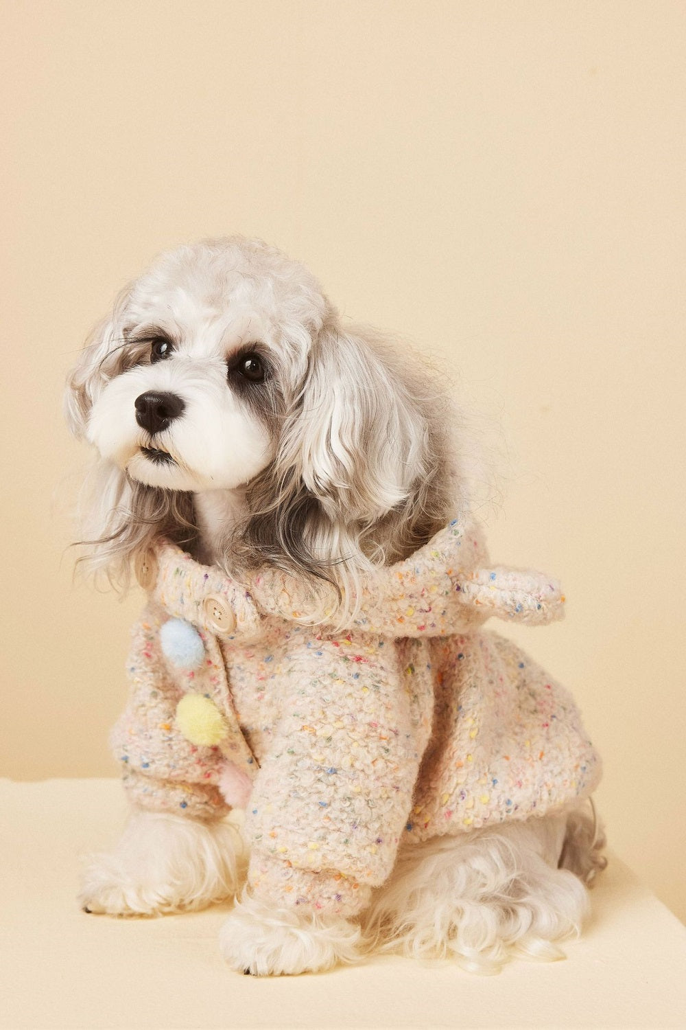 Cozy Knit Dog Sweater