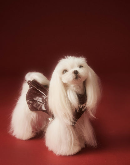 Luxe Leather Pet Beret Dress With Hat