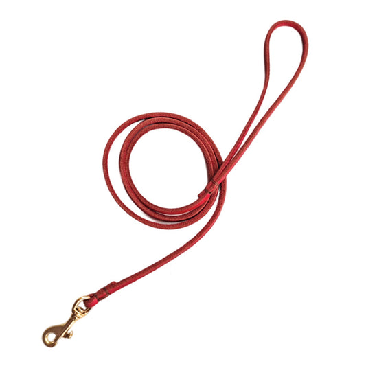 Premium Round Leather Dog Leash – Soft Genuine Leather Pet Lead with Gold Swivel Clip for Small Medium Dogs
