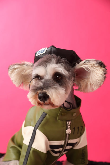 Trendy Pet Beret